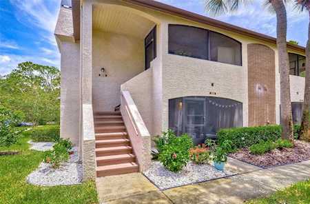 3017 Bonaventure CIRCLE #104 Palm Harbor, FL 34684