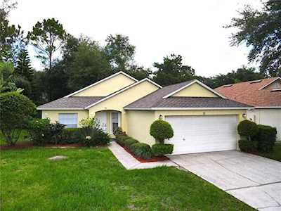 31 Pine Forest PLACE Apopka, FL 32712