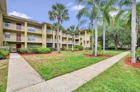2690 Coral Landings Blvd #724 Palm Harbor, FL 34684
