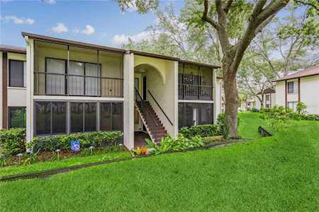 1725 Pine Ridge WAY W #B1 Palm Harbor, FL 34684