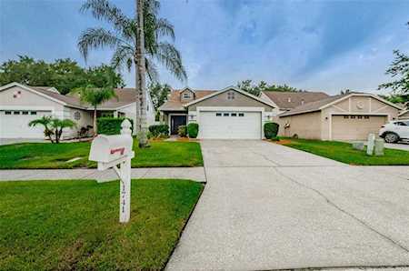 1741 Horsechestnut Ct Trinity, FL 34655