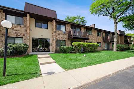 2642 N Windsor Dr #201 Arlington Heights, IL 60004