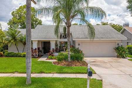 3117 Glenridge Dr Palm Harbor, FL 34685