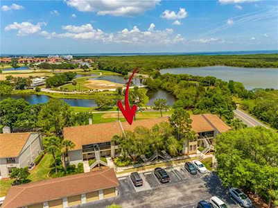 1901 Oyster Catcher Ln #813 Clearwater, FL 33762