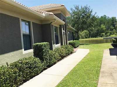 4801 Michelle Ln Palm Harbor, FL 34684
