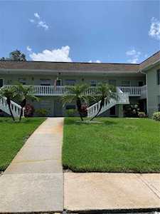 1250 S Pinellas Ave #205 Tarpon Springs, FL 34689