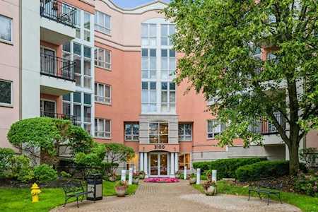 3100 Lexington Ln #307 Glenview, IL 60026
