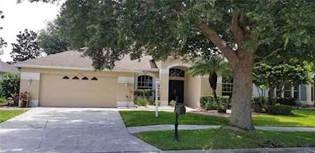 1524 Stipule Ct Trinity, FL 34655