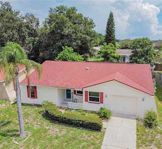 156 Talley Dr Palm Harbor, FL 34684