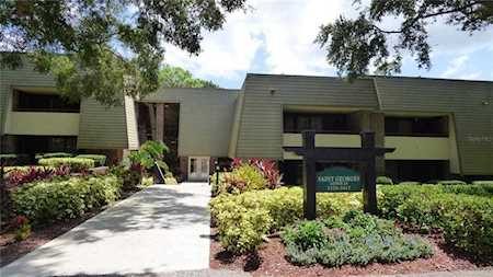 36750 Us Highway 19 N #24212 Palm Harbor, FL 34684