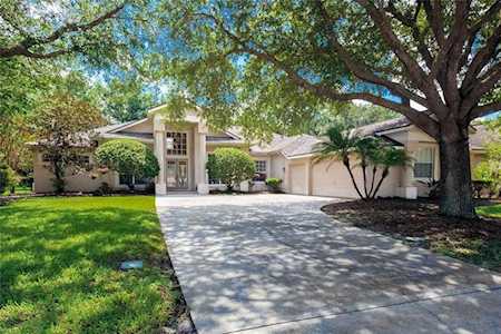 4477 Lavender Dr Palm Harbor, FL 34685
