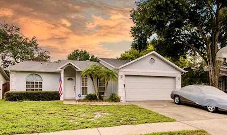 3296 April Ln Palm Harbor, FL 34684