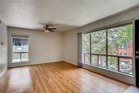1405 Hartford RD #201 Austin, TX 78703