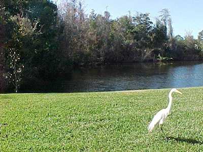 321 Woodlake Wynde #3 Oldsmar, FL 34677