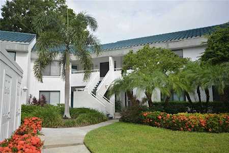 3542 Indigo Pond Dr #3542 Palm Harbor, FL 34685