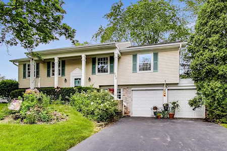 910 Indian Spring Ln Buffalo Grove, IL 60089