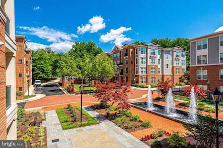 2905 Saintsbury Plaza #211 Fairfax, VA 22031