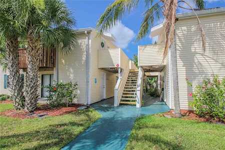 121 Loblolly Ct #E Oldsmar, FL 34677