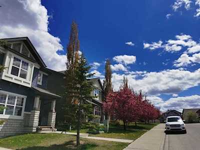 46 Panatella Hill NW Calgary, AB T3K 0B6