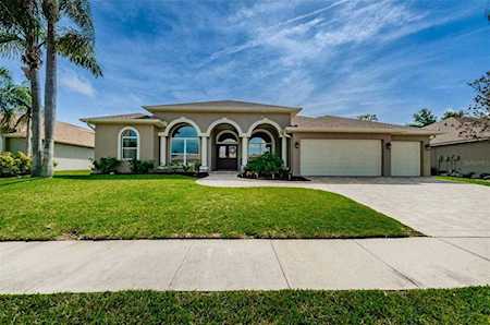 2120 Flameflower Ct Trinity, FL 34655