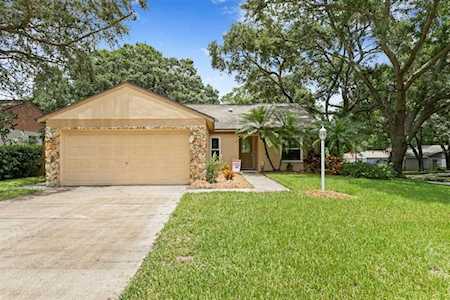 3661 Montclair Dr Palm Harbor, FL 34684