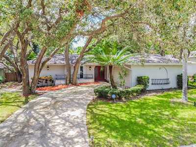 817 Highview Dr Palm Harbor, FL 34683