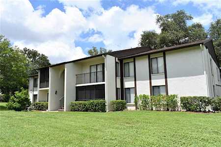 2522 Pine Ridge WAY S #D2 Palm Harbor, FL 34684