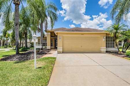 11803 Aintree Ct Trinity, FL 34655