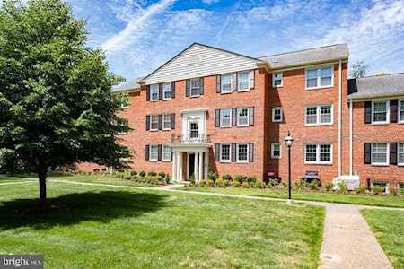 6514 Potomac Ave #B2 Alexandria, VA 22307