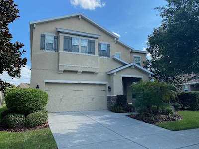 15705 Oakleaf Run Dr Lithia, FL 33547