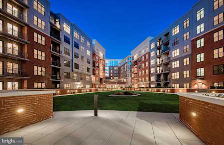 9555 Saintsbury Dr #10403 Fairfax, VA 22031