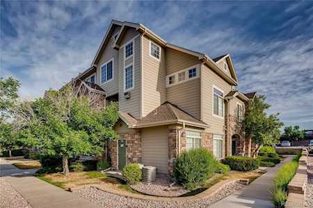 457 Black Feather Loop #709 Castle Rock, CO 80104