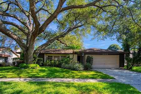 3102 Blue Heron St Safety Harbor, FL 34695