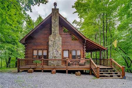 541 Little Bushy Head Road Blue Ridge, GA 30513