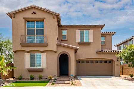 289 E Desert Broom Drive Chandler, AZ 85286