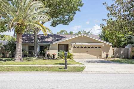 3935 Lake Saint George Dr Palm Harbor, FL 34684