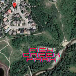 149 Woodridge Close SW Calgary, AB T2W 5M3