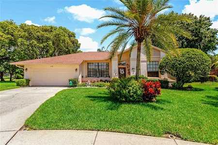 548 Hollowtree PLACE Tarpon Springs, FL 34688
