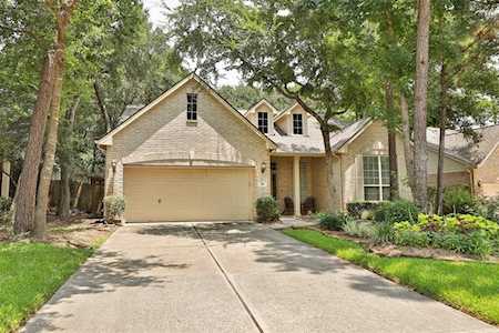 10 Meadowhawk Place Conroe, TX 77384