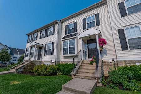 293 Shadbush Drive Blacklick, OH 43004
