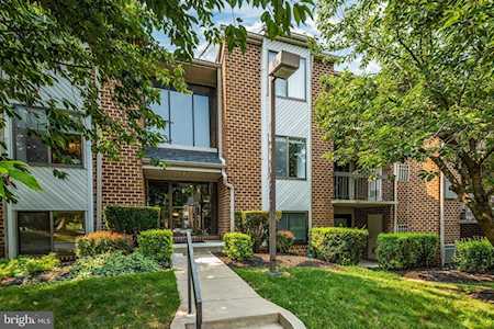 6 Mullingar Ct #202 Lutherville Timonium, MD 21093