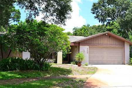 113 Timber CIRCLE Safety Harbor, FL 34695