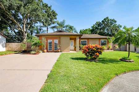2310 Knoll Ave S Palm Harbor, FL 34683