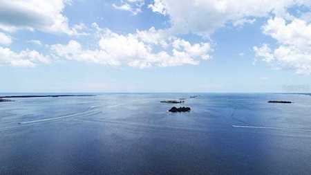 200 Woodette Dr #303 Dunedin, FL 34698