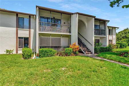 2642 Pine Ridge WAY S #E2 Palm Harbor, FL 34684