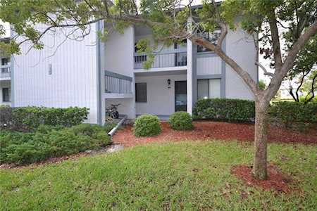 101 Martha Ln #4 Oldsmar, FL 34677