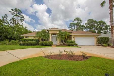 14 Zonal Geranium Court Palm Coast, FL 32164