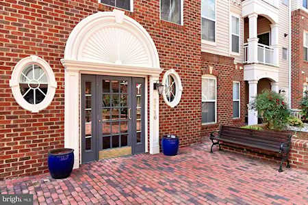 5116 Donovan Dr #203 Alexandria, VA 22304
