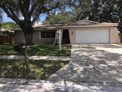 355 Laughing Gull Ln Palm Harbor, FL 34683
