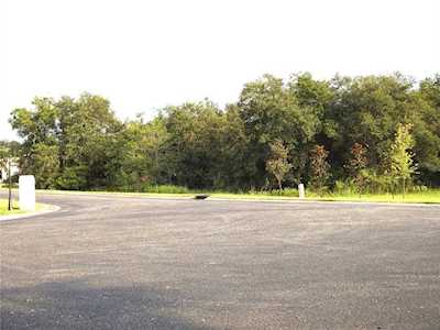 6805 Luana Ln Seffner, FL 33584
